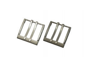 BUCKLE - 19-1